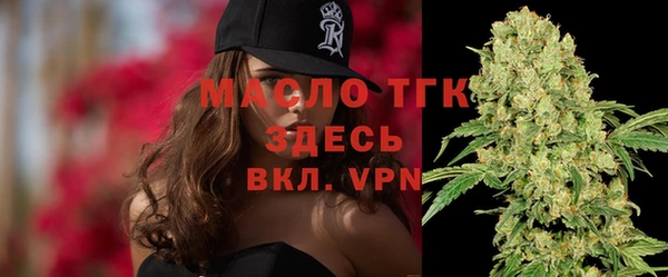 гидра Карпинск