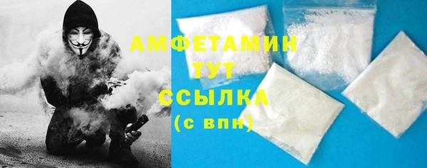 гидра Карпинск
