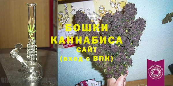ПСИЛОЦИБИНОВЫЕ ГРИБЫ Каменногорск