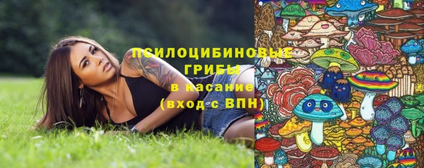 ПСИЛОЦИБИНОВЫЕ ГРИБЫ Каменногорск