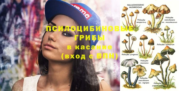 mdma Каменка