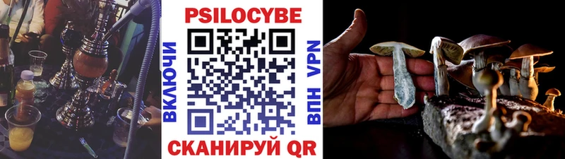 Галлюциногенные грибы прущие грибы  Городище 